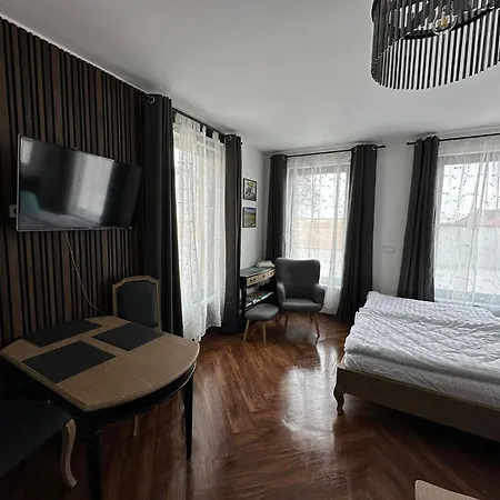 公寓 Forum Lipno 2 Horní Planá